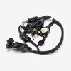 Talaria | Wiring Loom for Sting