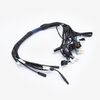 Talaria | Wiring Loom