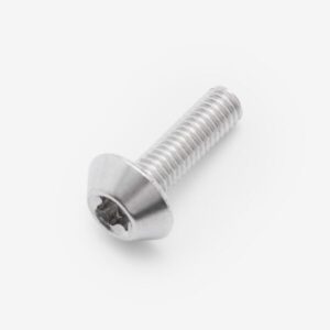 Talaria | Bolt M6 x 10mm